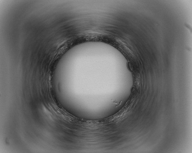 X0000096720964200802051057
