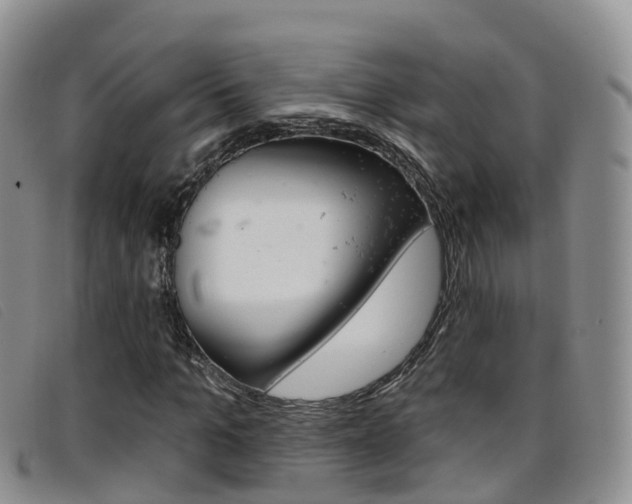 X0000096720965200802051057