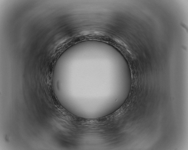 X0000096720966200802051056