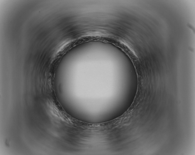 X0000096720968200802051056