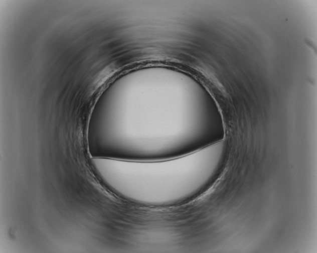 X0000096720969200802051056