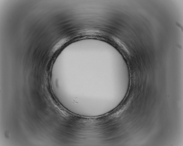 X0000096720970200802051056
