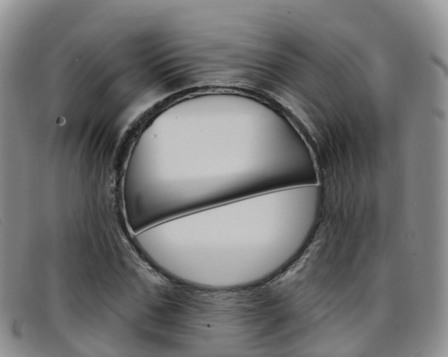 X0000096720971200802051056