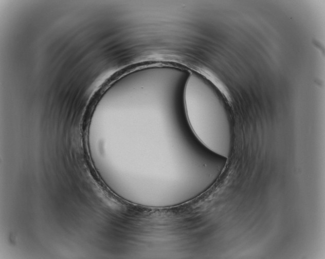 X0000096720972200802051056