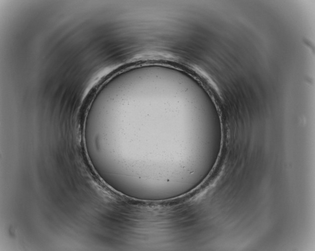 X0000096720973200802051056