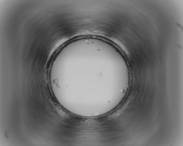X0000096720974200802051056