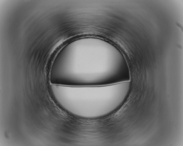 X0000096720975200802051056