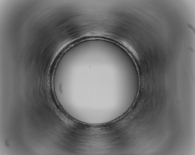 X0000096720976200802051056