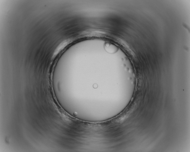 X0000096720978200802051056
