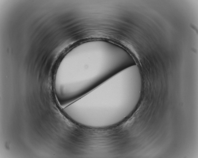 X0000096720979200802051056
