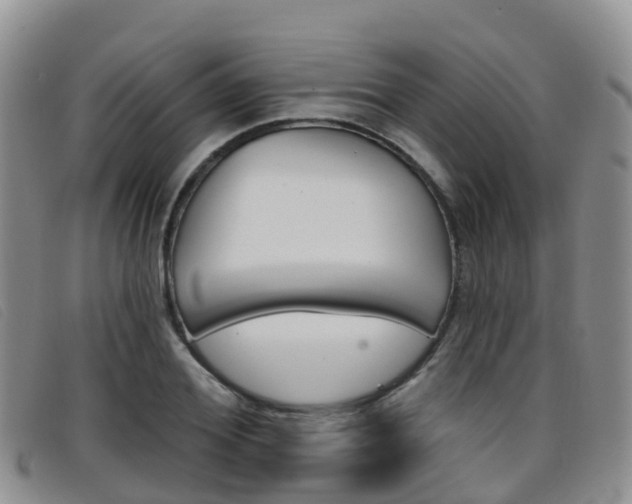 X0000096720980200802051056