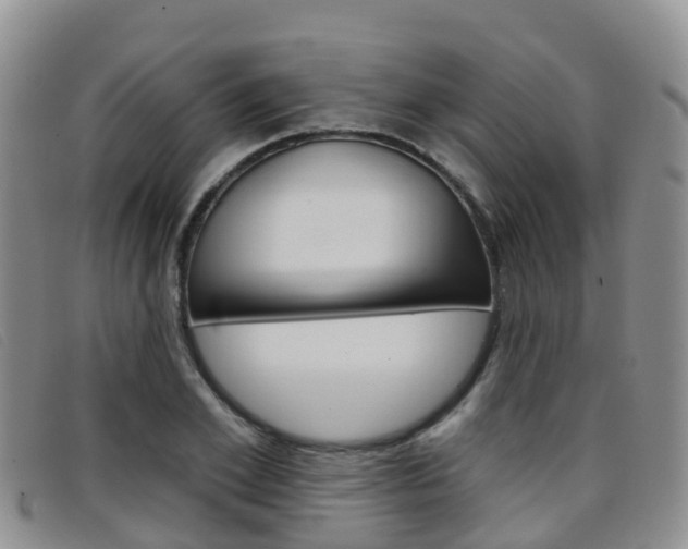 X0000096720981200802051056