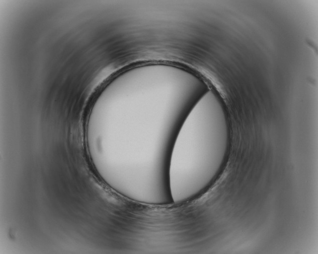 X0000096720982200802051056