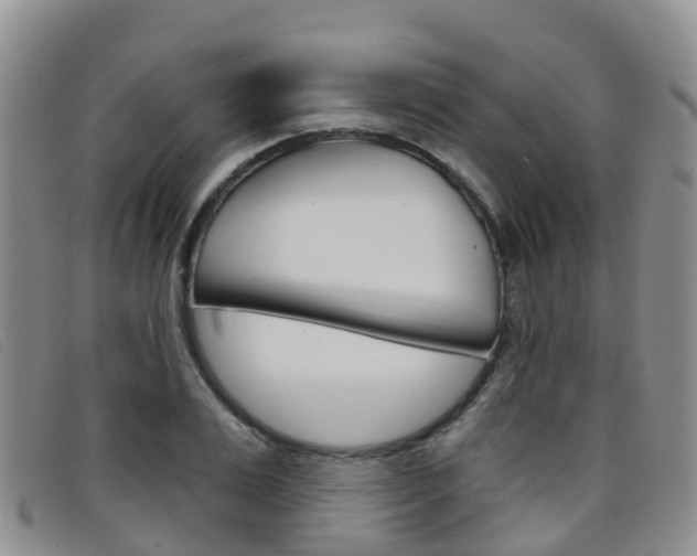 X0000096720983200802051056
