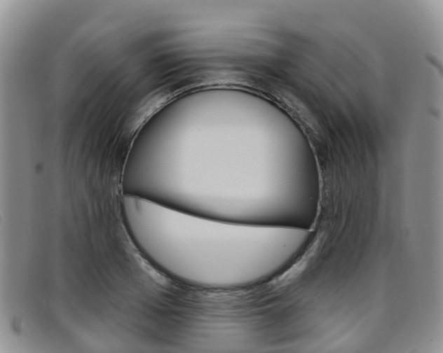 X0000096720985200802051056