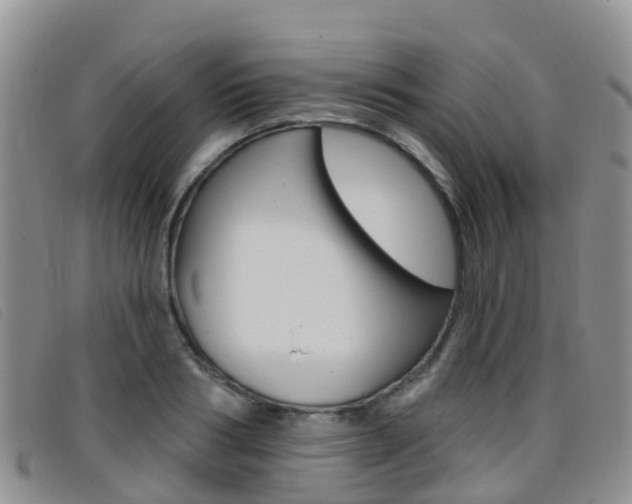 X0000096720986200802051056