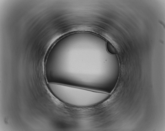 X0000096720988200802051056