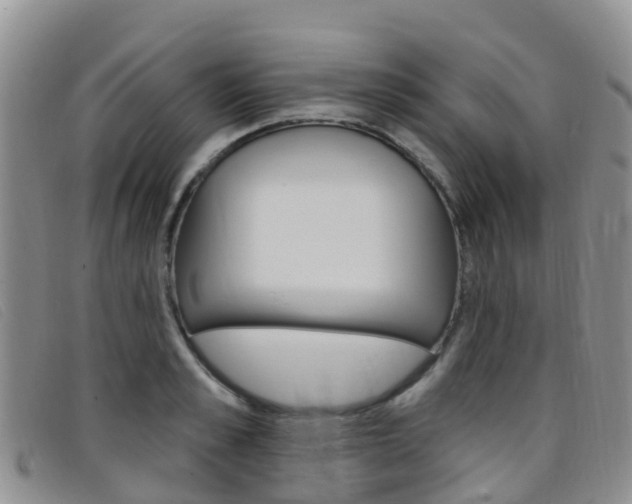 X0000096720989200802051056