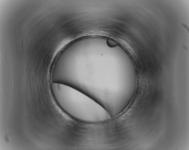 X0000096720990200802051056