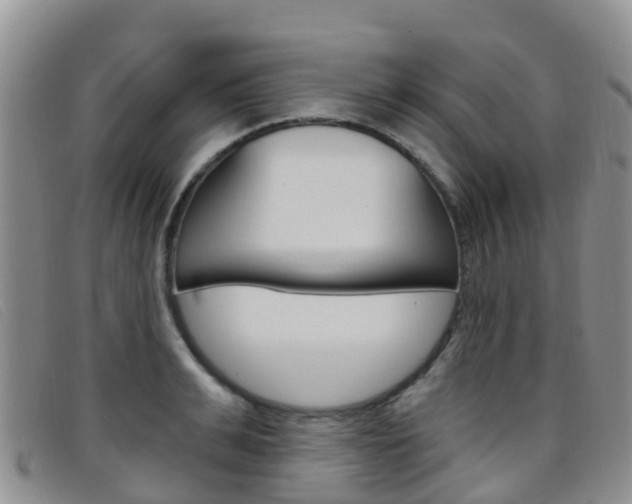 X0000096720991200802051056