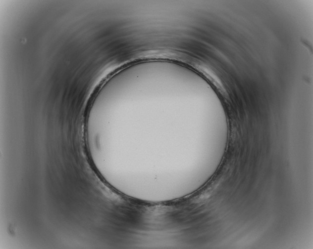 X0000096720992200802051056