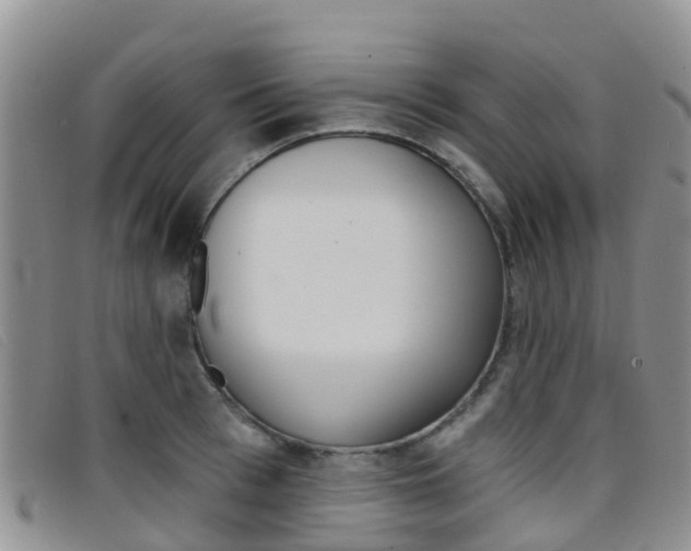 X0000096720993200802051056