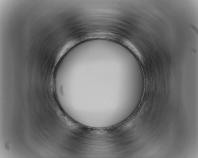 X0000096720994200802051056
