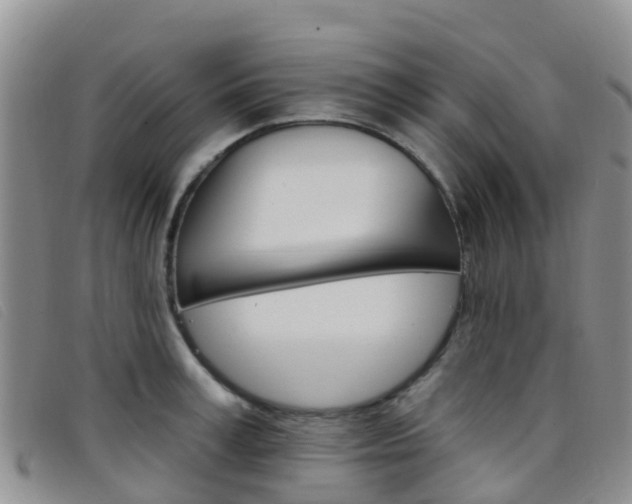 X0000096720995200802051056