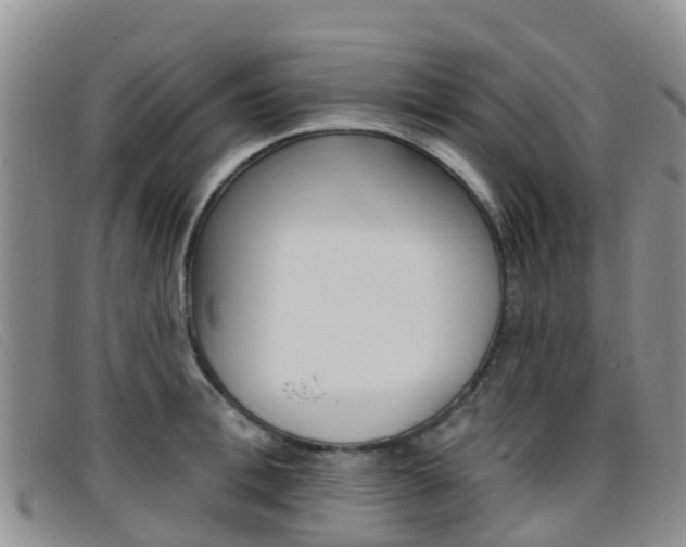 X0000096720996200802051056