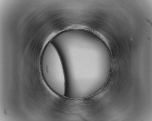 X0000096720997200802051056