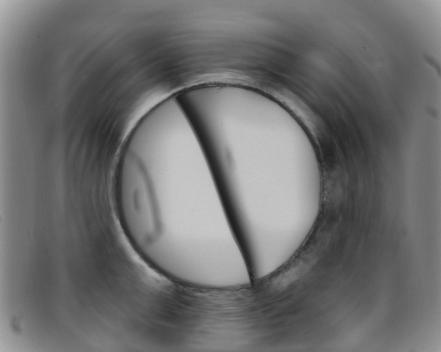 X0000096720999200802051056