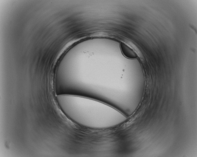 X0000096721000200802051056