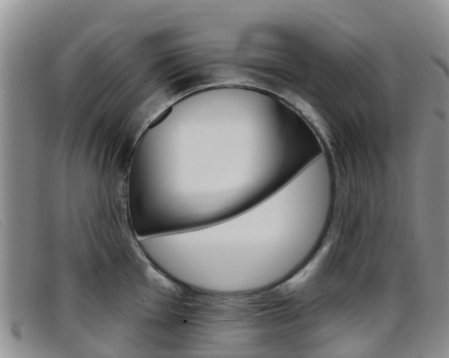 X0000096721001200802051056