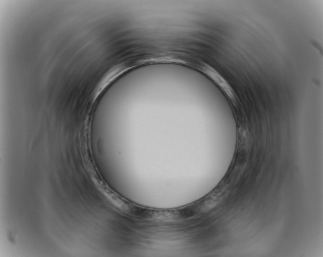 X0000096721002200802051056