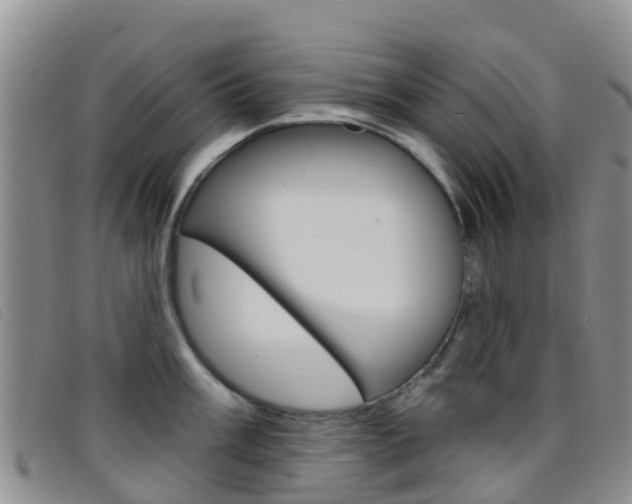 X0000096721003200802051056