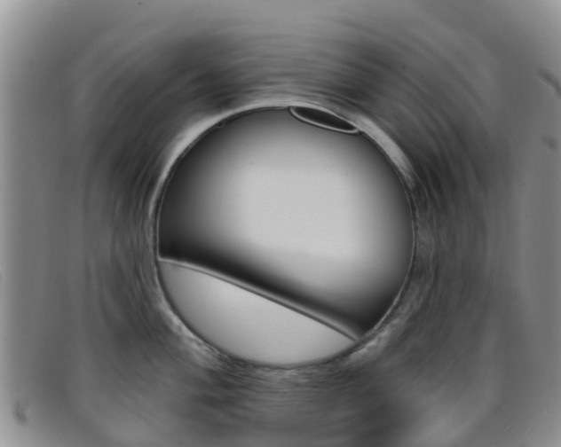 X0000096721004200802051056