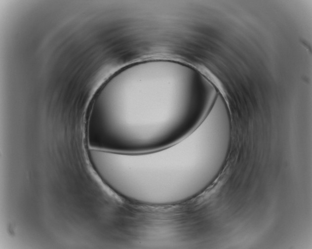 X0000096721005200802051056