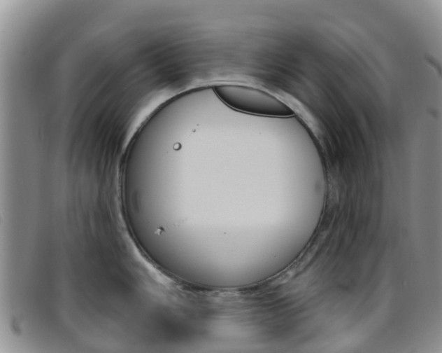 X0000096721006200802051056