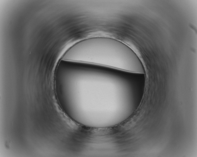 X0000096721008200802051056