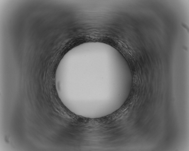 X0000096721009200802051055