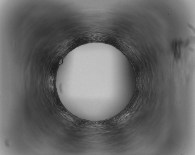 X0000096721010200802051055