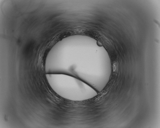 X0000096721011200802051055
