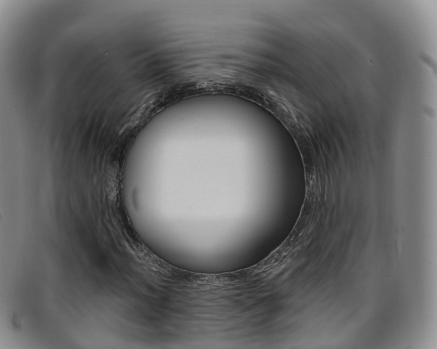 X0000096721012200802051055