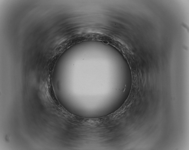 X0000096721013200802051055