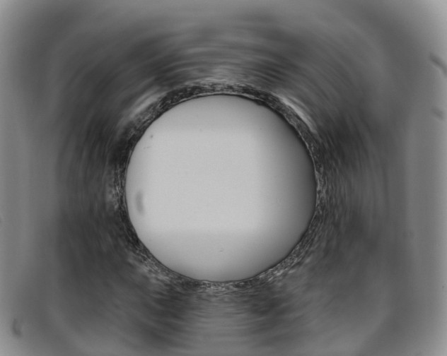 X0000096721015200802051055
