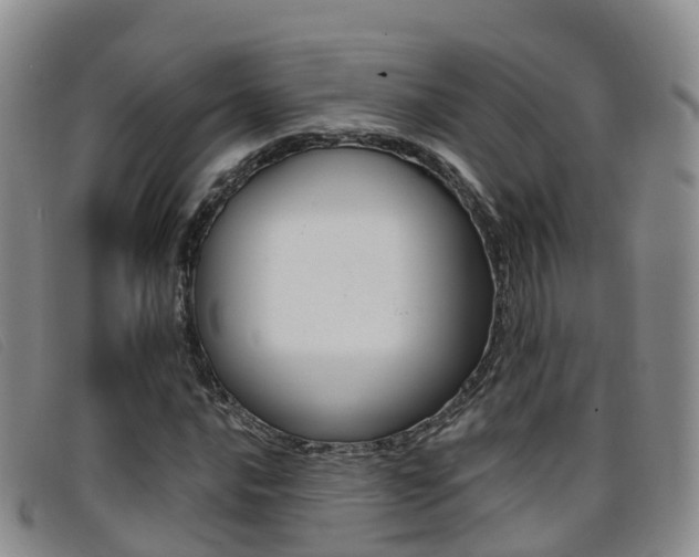 X0000096721016200802051055