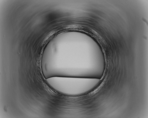 X0000096721017200802051055