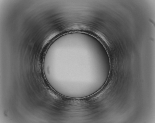 X0000096721018200802051055