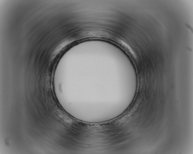 X0000096721019200802051055