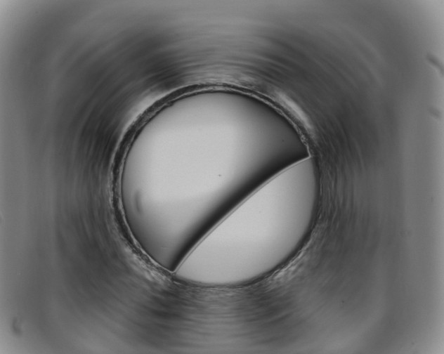 X0000096721020200802051055